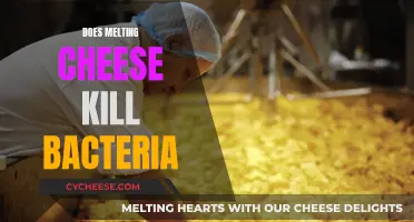 Cheese Melting: Killing Bacteria or Not?