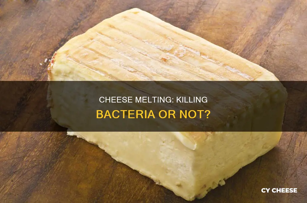does melting cheese kill bacteria