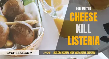 Cheese Melting: Killing Listeria and Keeping You Safe