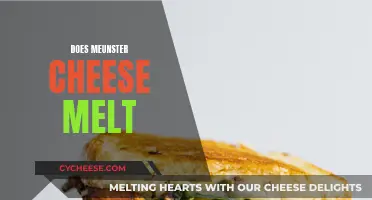 Melting Meunster Cheese: A Tasty Adventure