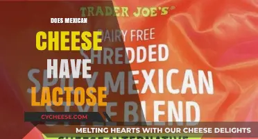 Does Mexican Cheese Have Lactose? A Guide to Dairy Sensitivity