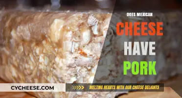 Does Mexican Cheese Contain Pork? Unraveling the Ingredients and Myths