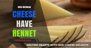 Does Mexican Cheese Contain Rennet? A Comprehensive Guide
