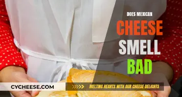 Why Mexican Cheese Has a Distinctive Odor