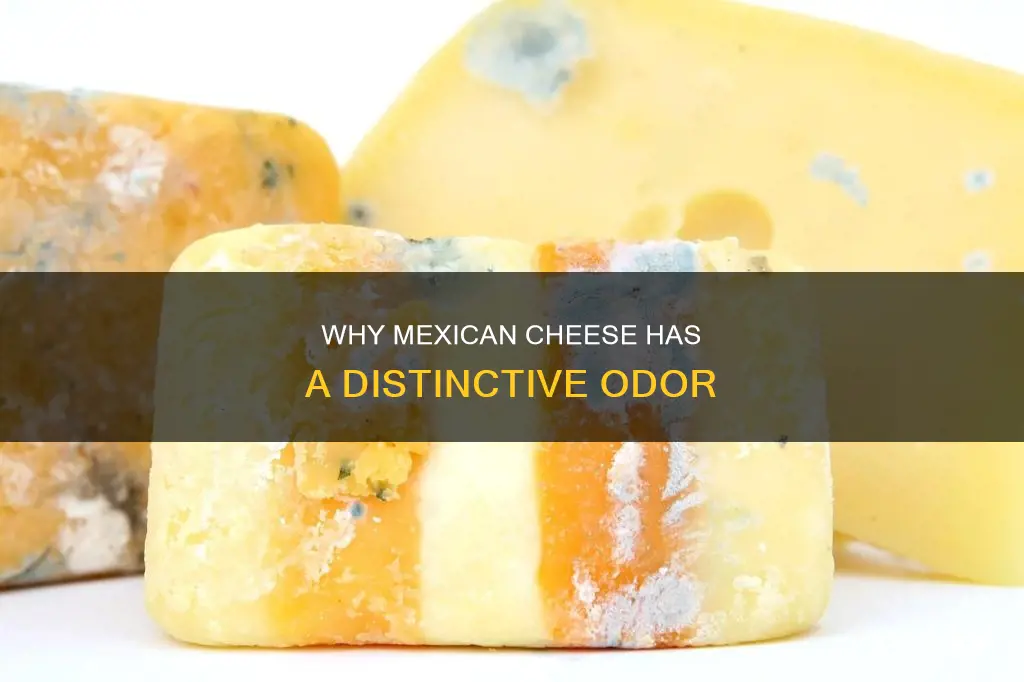 does mexican cheese smell bad