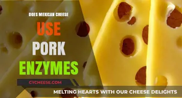 Mexican Cheese and Pork Enzymes: What's the Link?