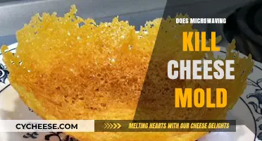 Microwaving Cheese Mold: Does It Kill or Spread the Fungus?