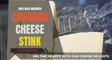 Smell of Mild Cheddar: Does It Stink?