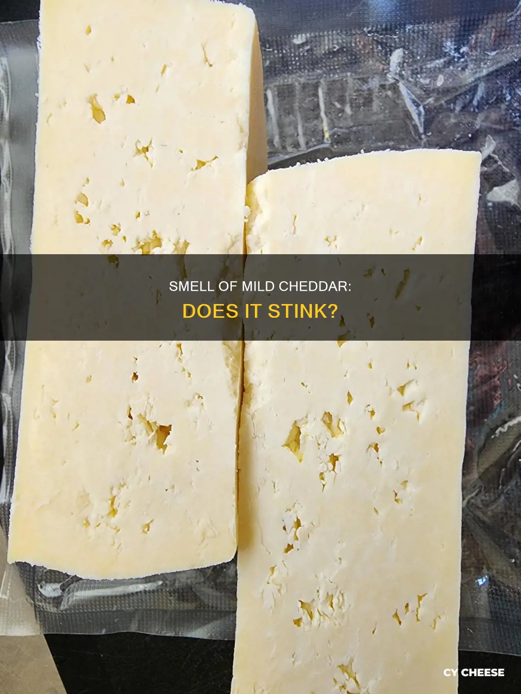 does mild shredded cheddar cheese stink