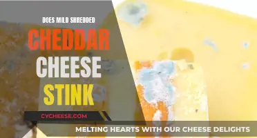 The Stink Factor: Mild Shredded Cheddar's Smell