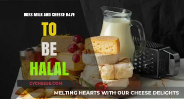 Halal Milk and Cheese: Understanding Certification and Dietary Compliance