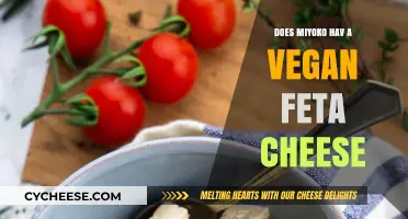 Vegan Feta Cheese: Miyoko's Delicious Dairy-Free Option
