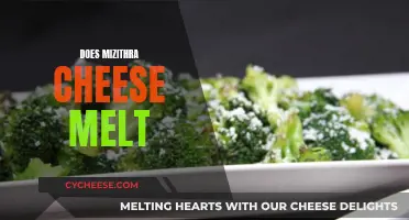 Mizithra Cheese Melting: The Ultimate Guide