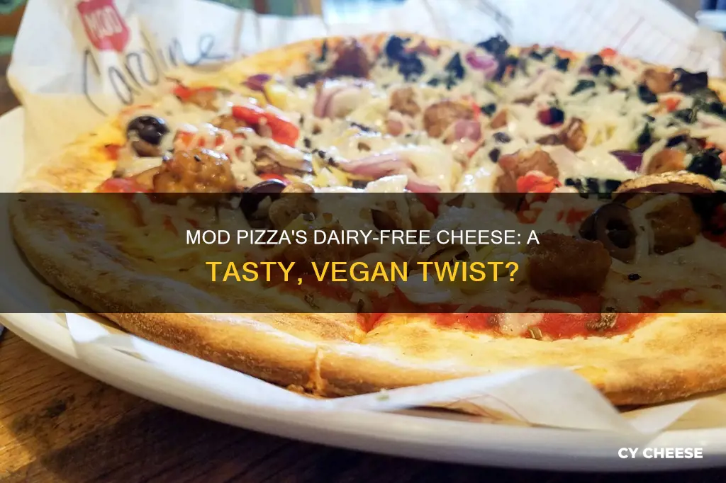 does mod pizza have dairy free cheese