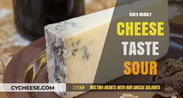 Does Moldy Cheese Taste Sour? Exploring the Flavor Profile
