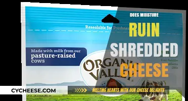 Does Moisture Ruin Shredded Cheese? The Truth About Storage and Freshness