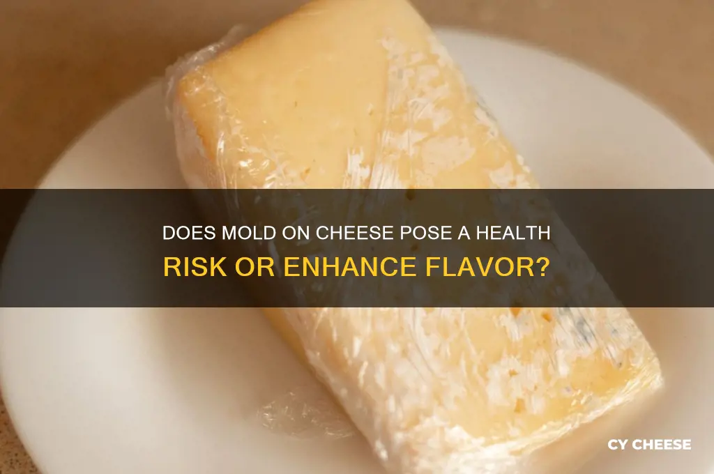 does mold hurt cheese