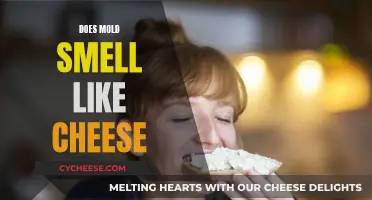 Mold Smells Like Cheese: What Does It Mean?
