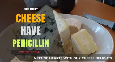 Moldy Cheese and Penicillin: Unraveling the Myth and Facts