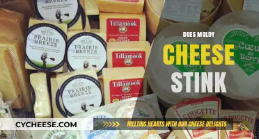 Does Moldy Cheese Stink? Unraveling the Smelly Truth Behind Aged Cheeses