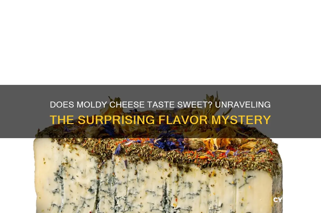 does moldy cheese taste sweet