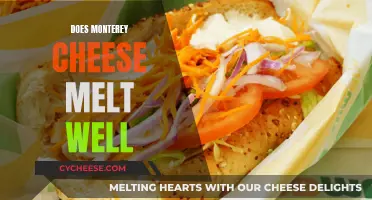 Monterey Jack Cheese: Melting and Cooking Tips