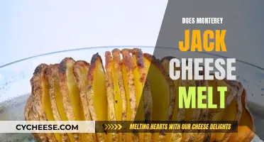 Monterey Jack Cheese: Melting and Stretching Secrets