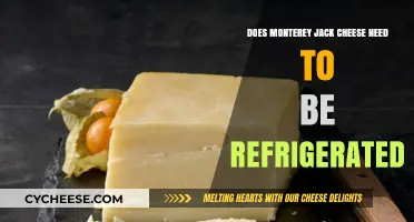Does Monterey Jack Cheese Need Refrigeration? Storage Tips Revealed
