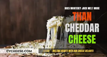 Monterey Jack vs. Cheddar: Which Melts Better?