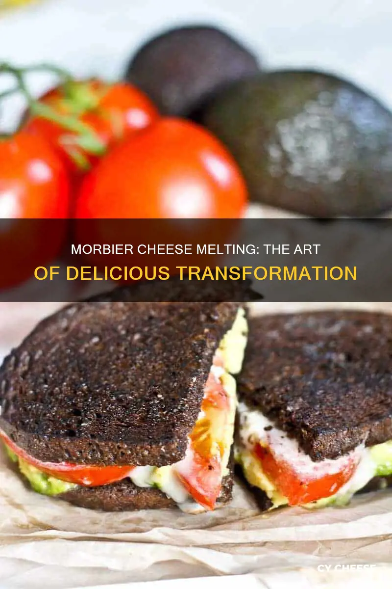 does morbier cheese melt