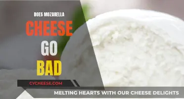 Mozzarella Cheese: How Long Does it Last?