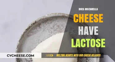 Mozzarella Cheese and Lactose: What You Need to Know