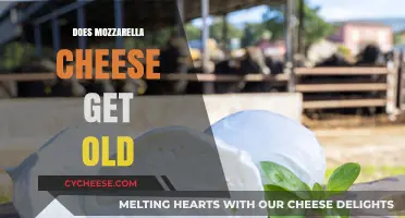 How Long Does Mozzarella Cheese Last?