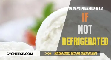 Mozzarella Cheese: Does it Go Bad Without Refrigeration?