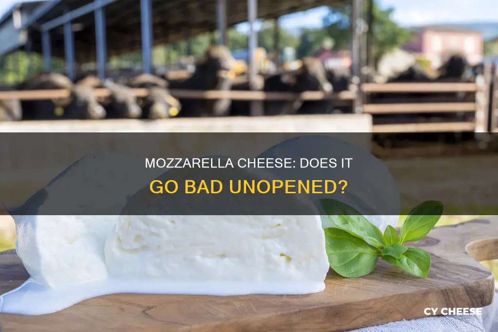 does mozzarella cheese go bad if unopened