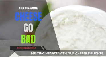 How Long Does Mozzarella Cheese Last?