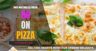 The Mozzarella Debate: A Cheesy Pizza Adventure