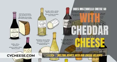 Cheese Pairing: Mozzarella and Cheddar - A Match Made in Heaven?