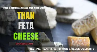 Mozzarella vs Feta: Which Cheese is Healthier?