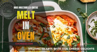 Mozzarella Melting Magic: Oven Techniques for Perfect Melt