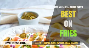 Mozzarella Fries: The Ultimate Comfort Food?