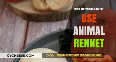Mozzarella Cheese: Animal Rennet's Role