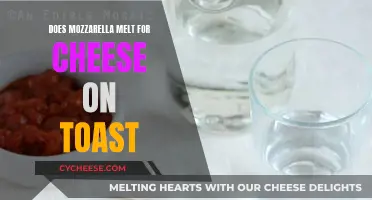 Mozzarella Melting for Cheese on Toast: A Tasty Experiment