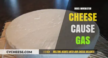 Does Muenster Cheese Cause Gas? Unraveling the Dairy Dilemma