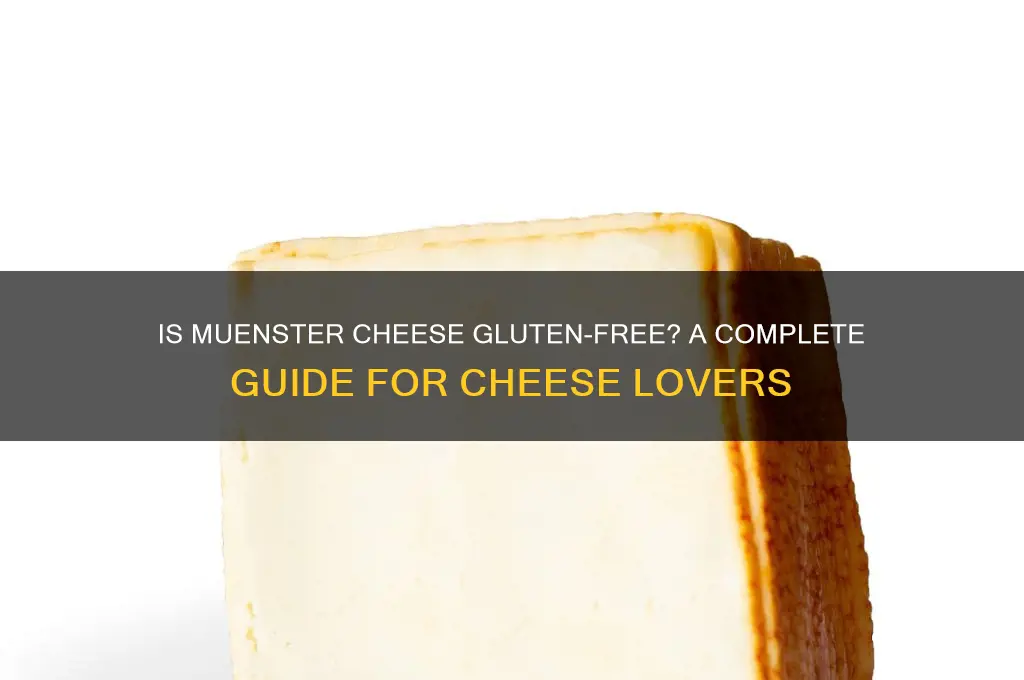 does muenster cheese contain gluten
