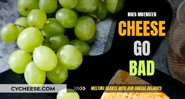 Muenster Cheese: How Long Does it Last?