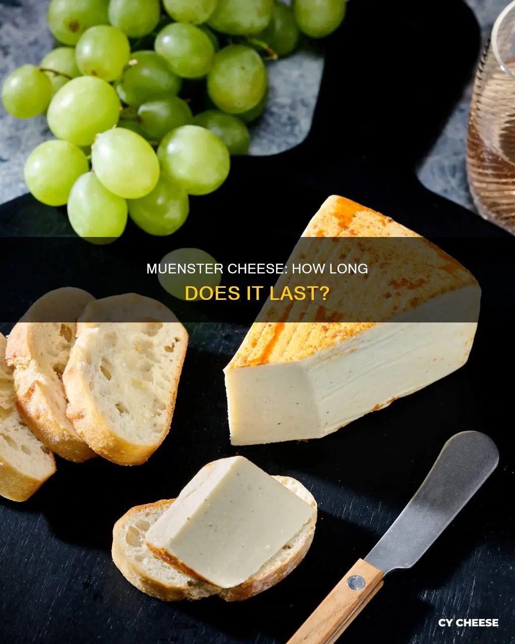 does muenster cheese go bad
