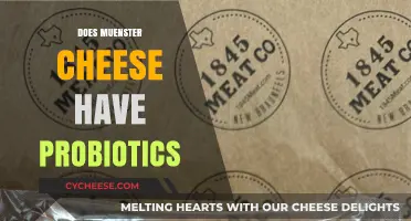 Muenster Cheese and Probiotics: Uncovering the Truth About Gut Health