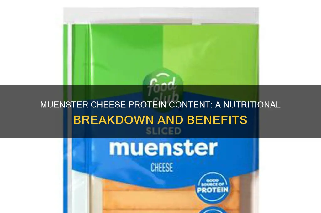 does muenster cheese have protein