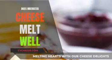 Muenster Cheese Melting: A Guide to Perfect Cheese Melt